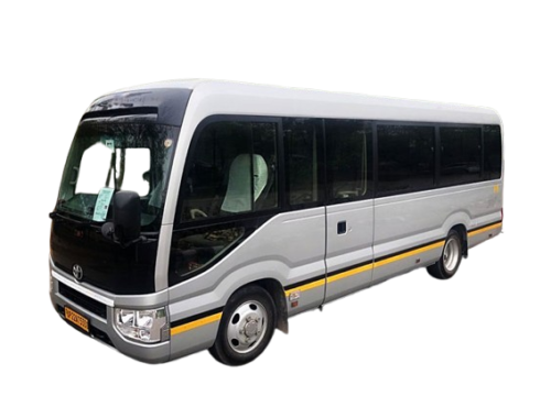 Mini Bus
